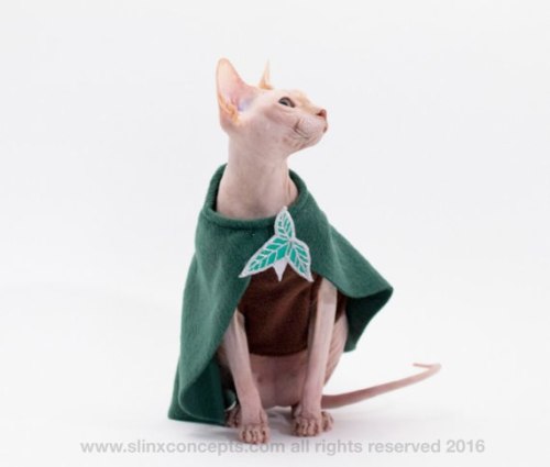 eldamaranquendi:Tolkien Cats by  SimplySphynx @ohmyarda !!!