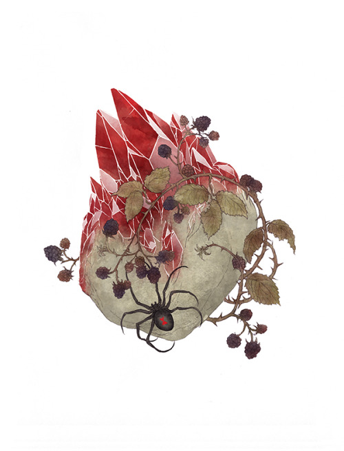 lunariagold:  Decay, soil and… invertebrates theme? Sorta…Posted the spider before but somehow it fits well there. Stones are amethyst, herkimer diamond (quartz), rhodochrosite and garnet. 