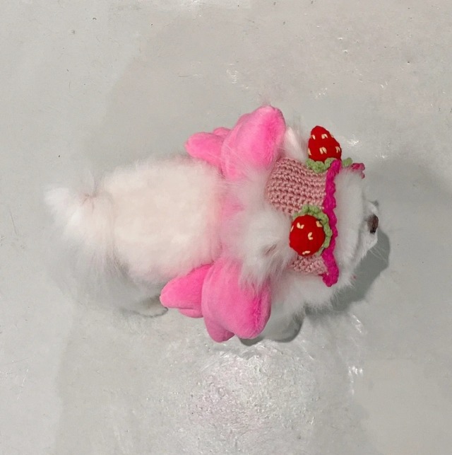 candydollita:tis is me🎀🍓🐶