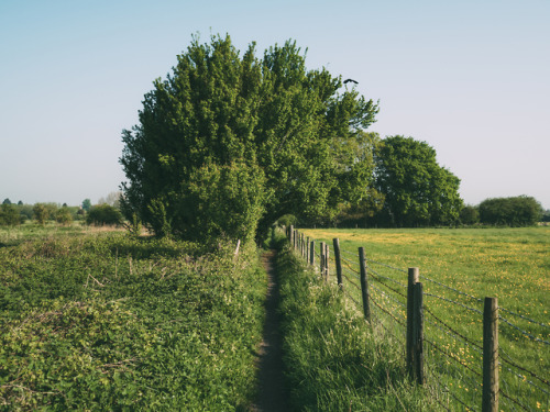 Oxfordshire, England