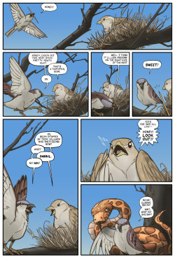 blewbrains:  kristaferanka:  americanninjax:  nautilid:  trebaolofarabia:  ruem:  corncobs:  clayyount:  3 page comic about birds I did for PUMMEL.  my heart  Oh jesus this needs more notes!  This is perfect, and really sad.  Steve and Karen? Those are