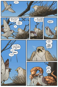 thedarkplumber:  bodyrockbrock:  A bird story. [via]  IT IS UNFATHOMABLE HOW INTENSELY I WANT TO KNOW HOW THIS ENDED 