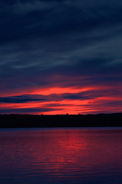 pir-ado:  obscvred:Auburn Sunset | Photographer