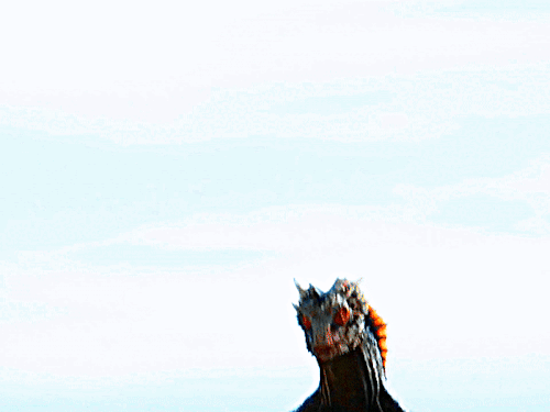 DROGON Game Of Thrones (2011-2019) 4.06