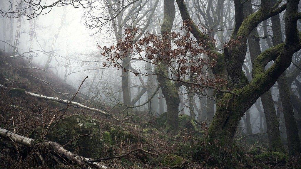 quiet-nymph:    by vuzephotography.co.uk  