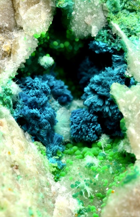 bijoux-et-mineraux:Gilmarite and Conichalcite - Guanaco (Huanaco), Santa Catalina, Antofagasta Provi