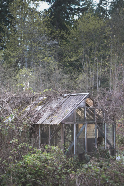 duncanvogelphoto:  Abandoned House Series. Greenhouse I found some distance from the house.  