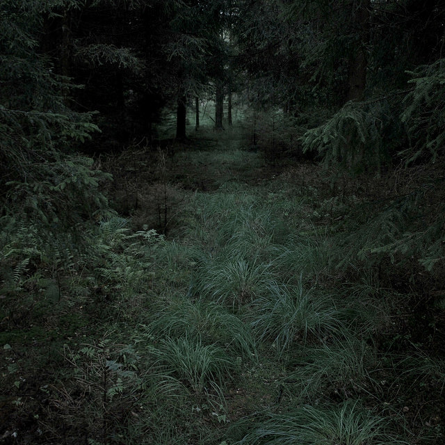 90377:  - by Coyhand on Flickr.