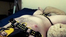 thattrashypup:Felt like pupping out