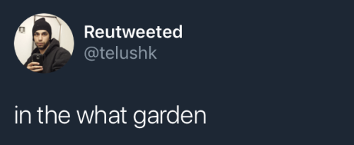 nightshadepaladin:  westafricanbaby: 🤣🤣🤣🤣🤣🤣🤣🤣  get sis outta there immediately you know damn well the queen of england has a fucktruckload of teacups!!! 