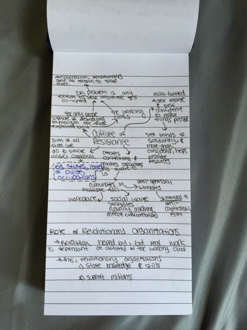 anarcutie: guerillastudier: October 8 || Just starting to read through my sizable hoard of radical l