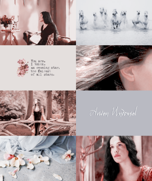 wondcrwomans: » For I am the daughter of Elrond. I shall not go with him now when he departs t