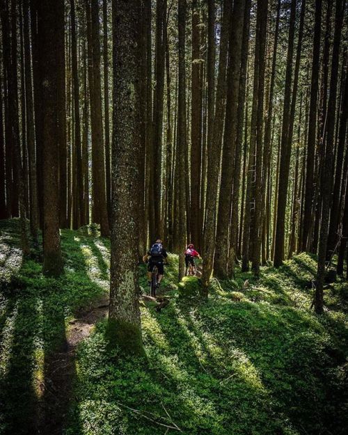 mtbswitzerland:Grün, grüner, Grindelwald! #mtbswitzerland via @outsideisfree.ch ・・・ #weekendgoals h