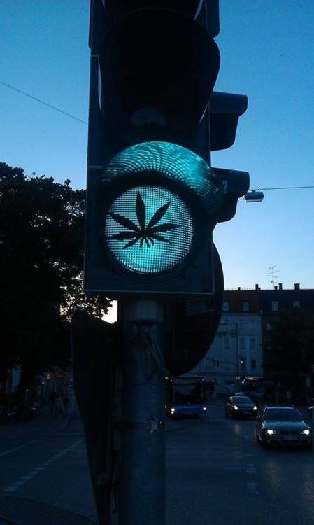 bestportablevaporizerguide:  good-weeds:  Y mi pase?(-8  www.bestportablevaporizerguide.net