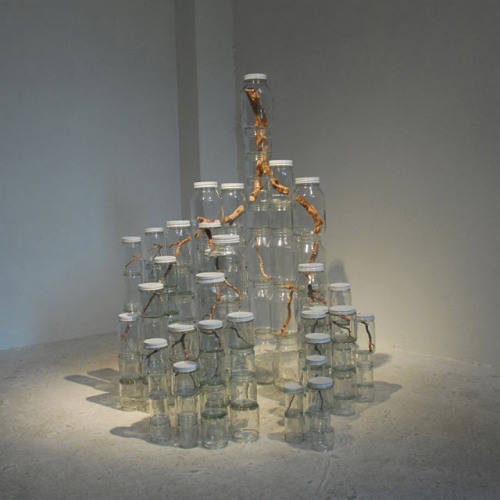  Naoko Ito, Flora Ubiquitous, 2009 