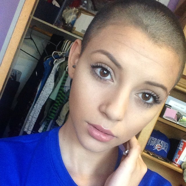 shorthairbeauty:  Gorgeous 