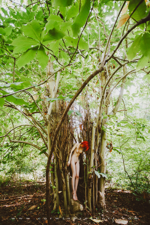 corwinprescott:    “Into the Wild”Philadelphia, Pa 2015Corwin Prescott - V - Full blog post on Patreon   