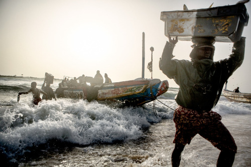 mitchellkphotos: Fish Market (Porto Peche) at Nouakchott, Mauritania. 