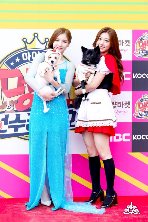 Sport - Variety Show | 아이돌스타 육상 선수권 대회&lt; Idol Star Dog-agility Championships E-Sport 2020 &