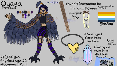 Quaya The Quail Bird! My Friend Straight Up Gave Me Her OC, So I Made It Into This. Yooooo Artfight Reference