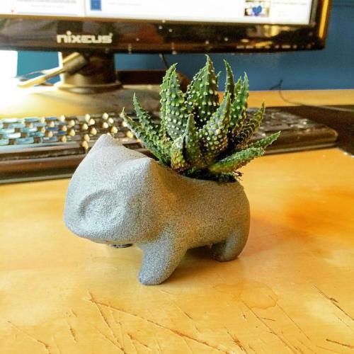 squirtleisthebest: Bulbasaur Planter SOURCE