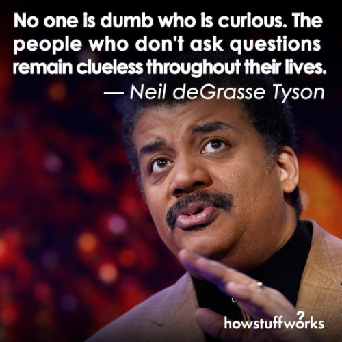 thesociologicalcinema: No one is dumb who is curious. The people who don’t ask questions remai