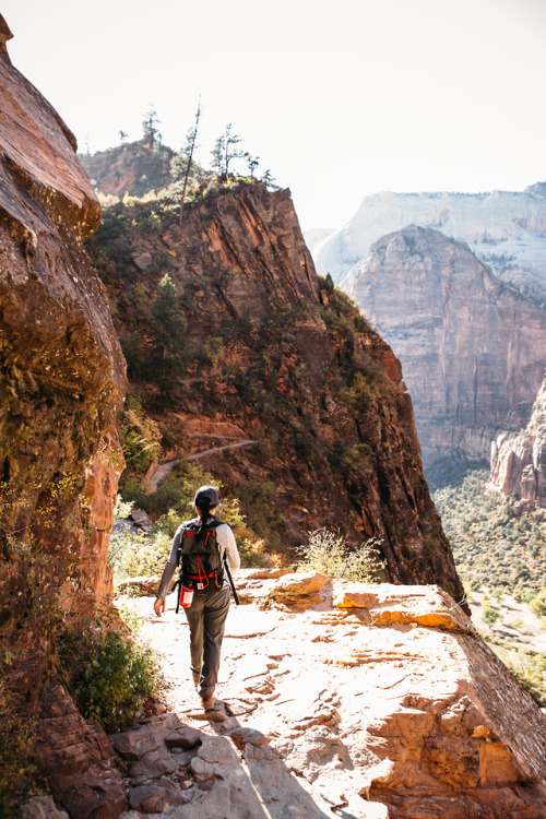 christophermfowler:Josephine | Zion National Park | October 2017