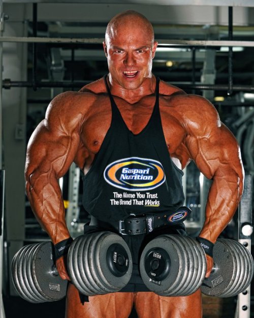 myfavoritemusclemen:  Will Hamilton