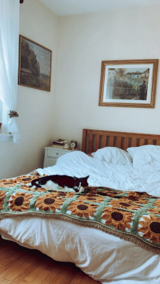 alwaysbringabookwithyou:27.06.2021 This is a cottagecore cat appreciation post. Insta: