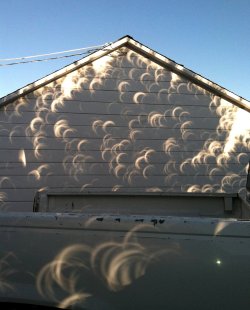 sixpenceee:  Sunlight through a tree during an eclipse. The tree leaves act similar to how pinhole cameras work, leaving these little eclipse casts 