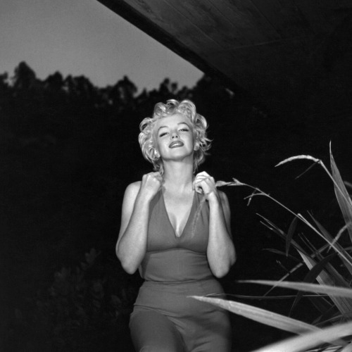 Marilyn Monroe / photo by Ted Baron, Palm Springs, California, 1954.