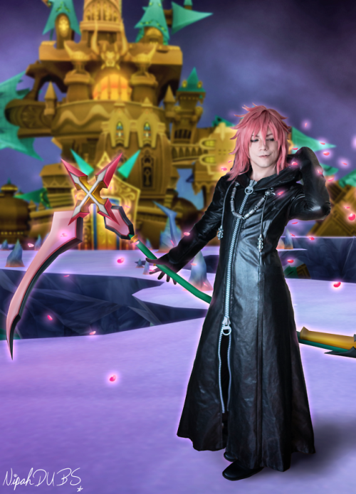  “Marluxia, the Graceful Assassin” , . .This is one I know a lot of you have been waitin