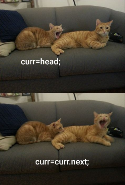 programming