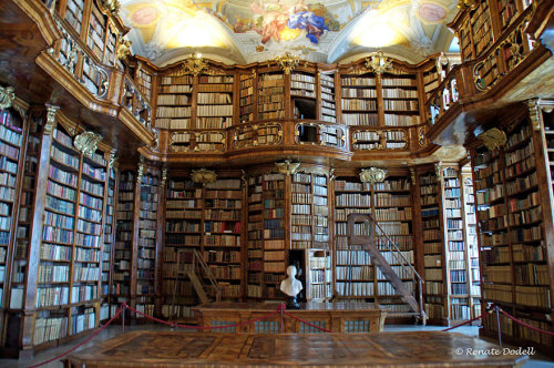 boredpanda:The Most Majestic Libraries In The World