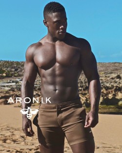 aronikswim:  Scout Espresso! Aronikswim.com #TempleSquare Collection