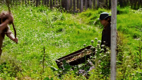The Shire Must Truly Be A Great Realm, Master Gamgee; Where Gardeners Are Held In High Honor.