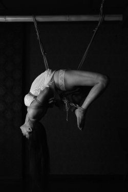 justscreenshots:  Shibari & Photo SinModel