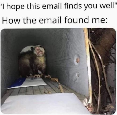 Hope This Email Finds You Well Meme Hope This Email Finds You Well Meme