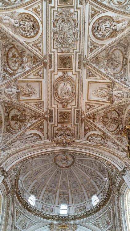                                                       Look Up1. Mosque Cathedral of Cordoba2. Sacris