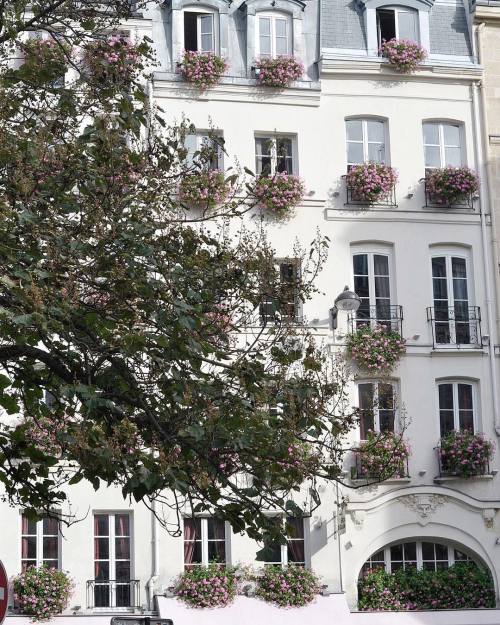 ralucamwolfski:  ▫️ angels were singing when i took this photo. bliss for the eyes 🌸🍃 ▫️ (at Paris, France) 