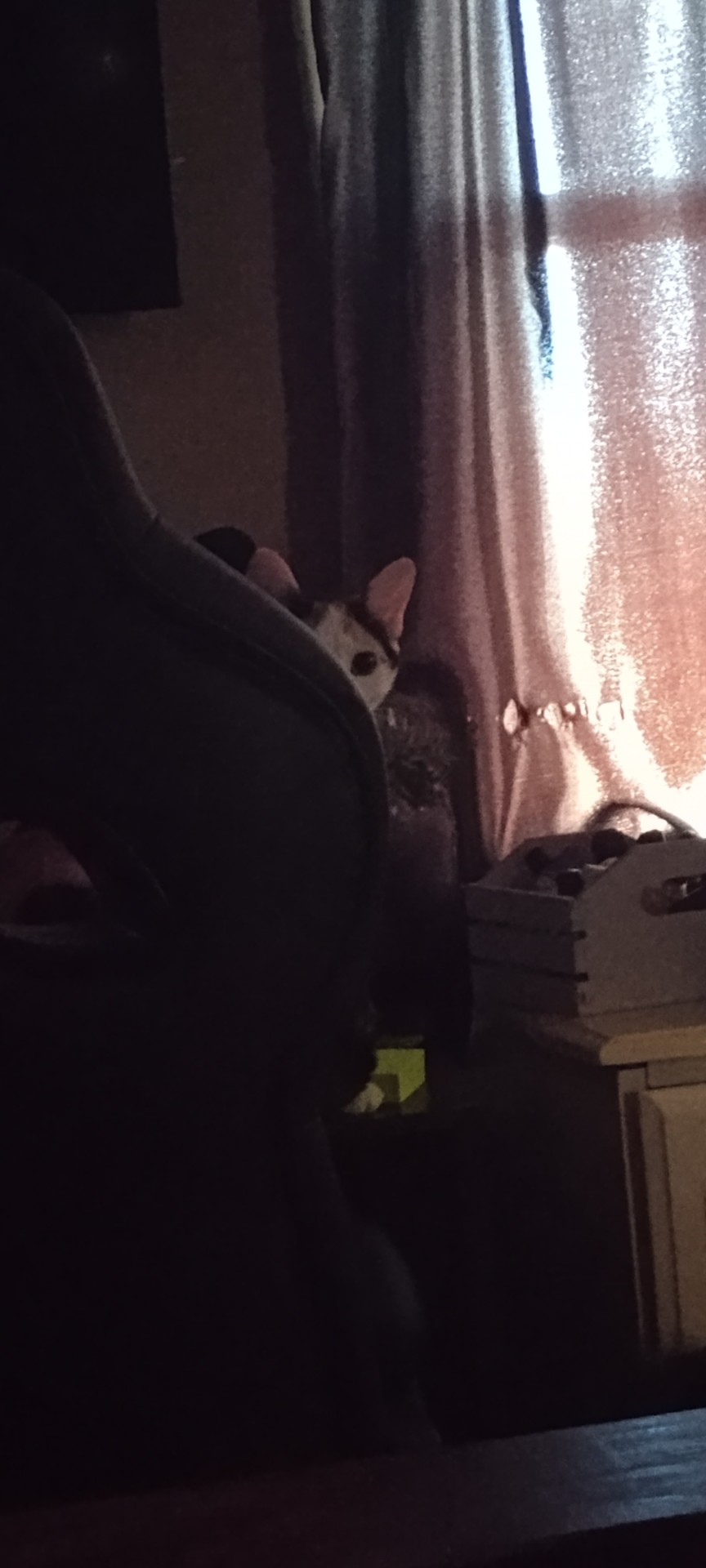 She's Watching Series Pt.6