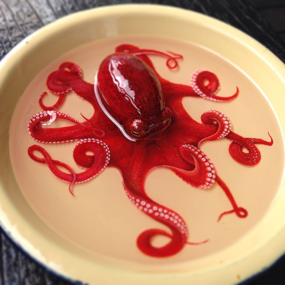holdmyhat:  okashido:sixpenceee:These hyperrealistic 3D animals were painted in layer
