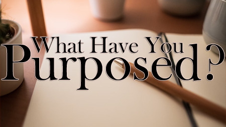 What Have You Purposed?