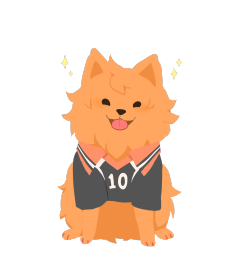 cloudoverrain:  guess who’s been addicted to some fluffy volleyball player, so here have some pomeranian hinata doodle i posted on twitter ///