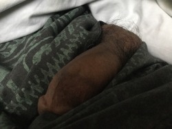 keahimakua:  Shhhh…my fat Hawaiian cock is sleeping…