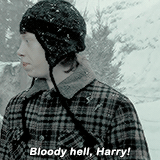 harrypotterdailly: The best of Ronald Weasley - Part I, Part II