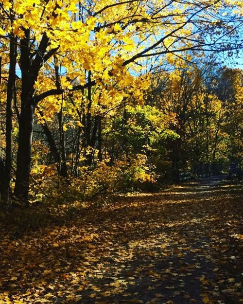 fall running is my jam #ncrtrail #charmcityrun (en NCR Trail White Hall, MD, mile 11 marker)