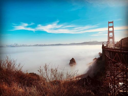 @golden_gate_bridge @sfgate  (at Golden Gate Bridge North Vista Point) https://www.instagram.com/p/B5CMob2giyZ/?igshid=atdh6n8cjl0p