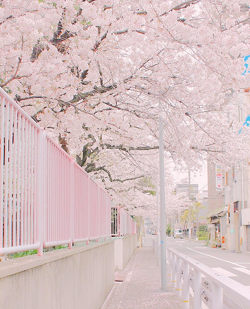 kiyumie: My edit