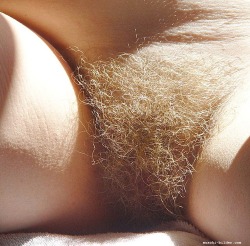 Blonde Pubes. Love It!